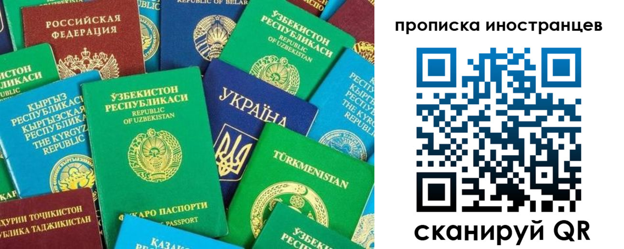 прописка гарантия в Аксае